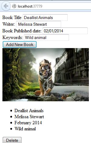 Display Added Record